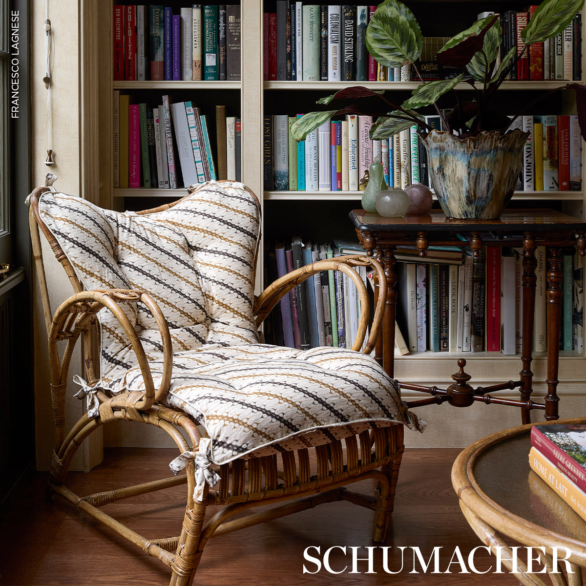 Purchase 182052 | Ronnie, Brown - Schumacher Fabric