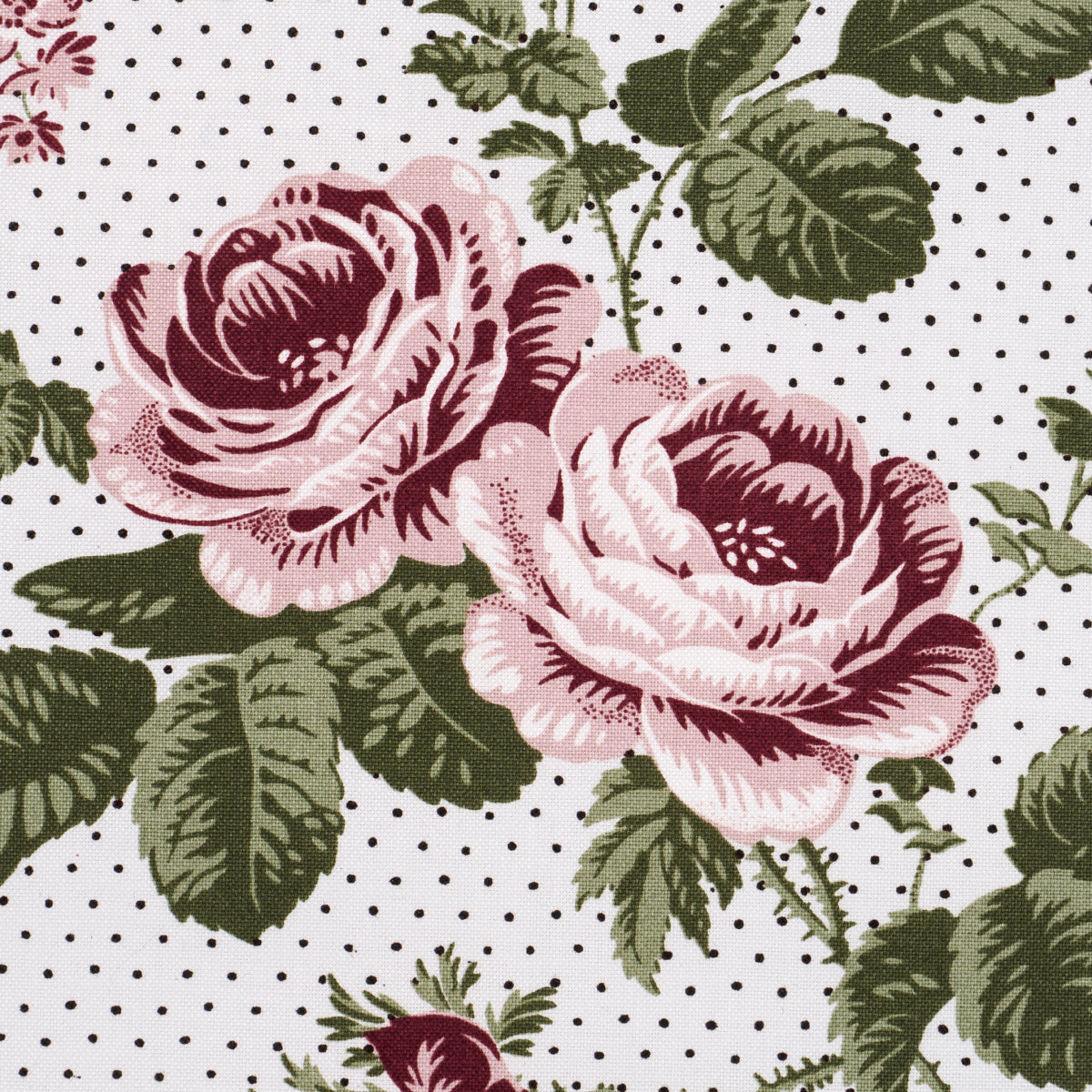 Purchase 182080 | Sibyl Chintz, Rose - Schumacher Fabric