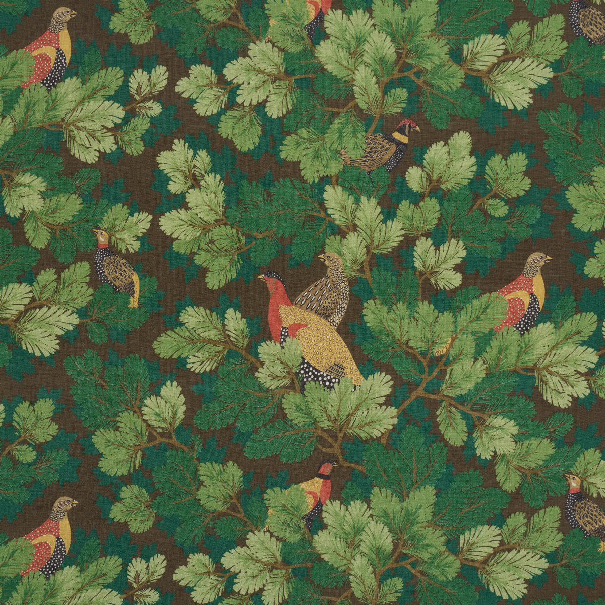 Purchase 182251 | Covey Hedge, Chestnut - Schumacher Fabric