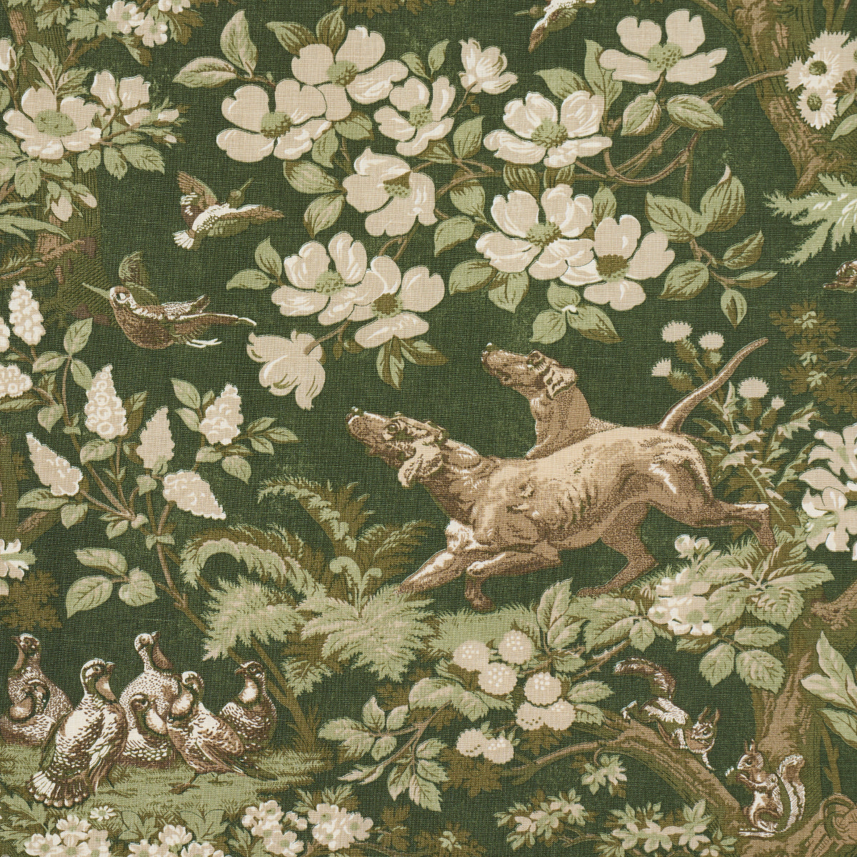 Purchase 182261 | Hound Meadow, Forest - Schumacher Fabric