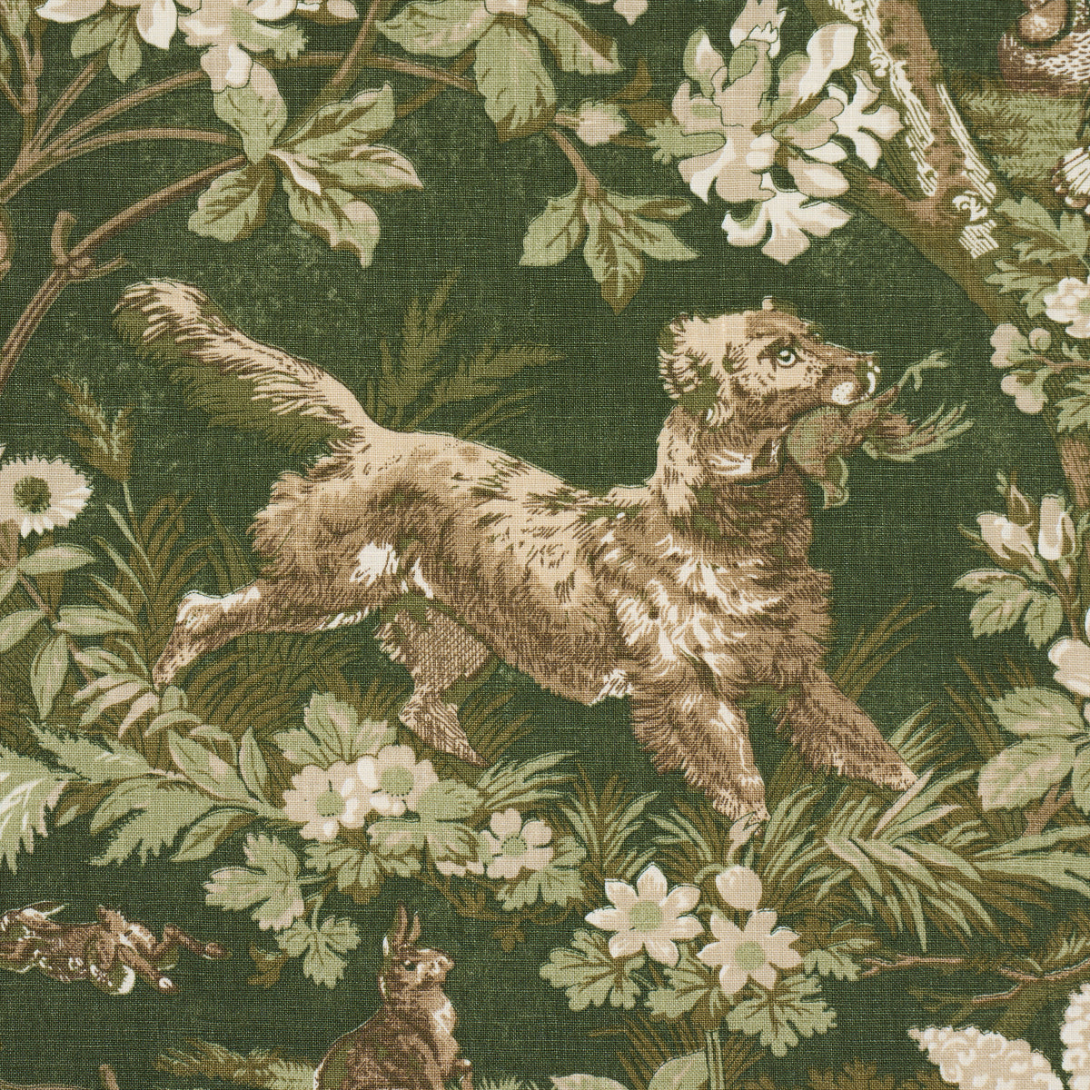 Purchase 182261 | Hound Meadow, Forest - Schumacher Fabric