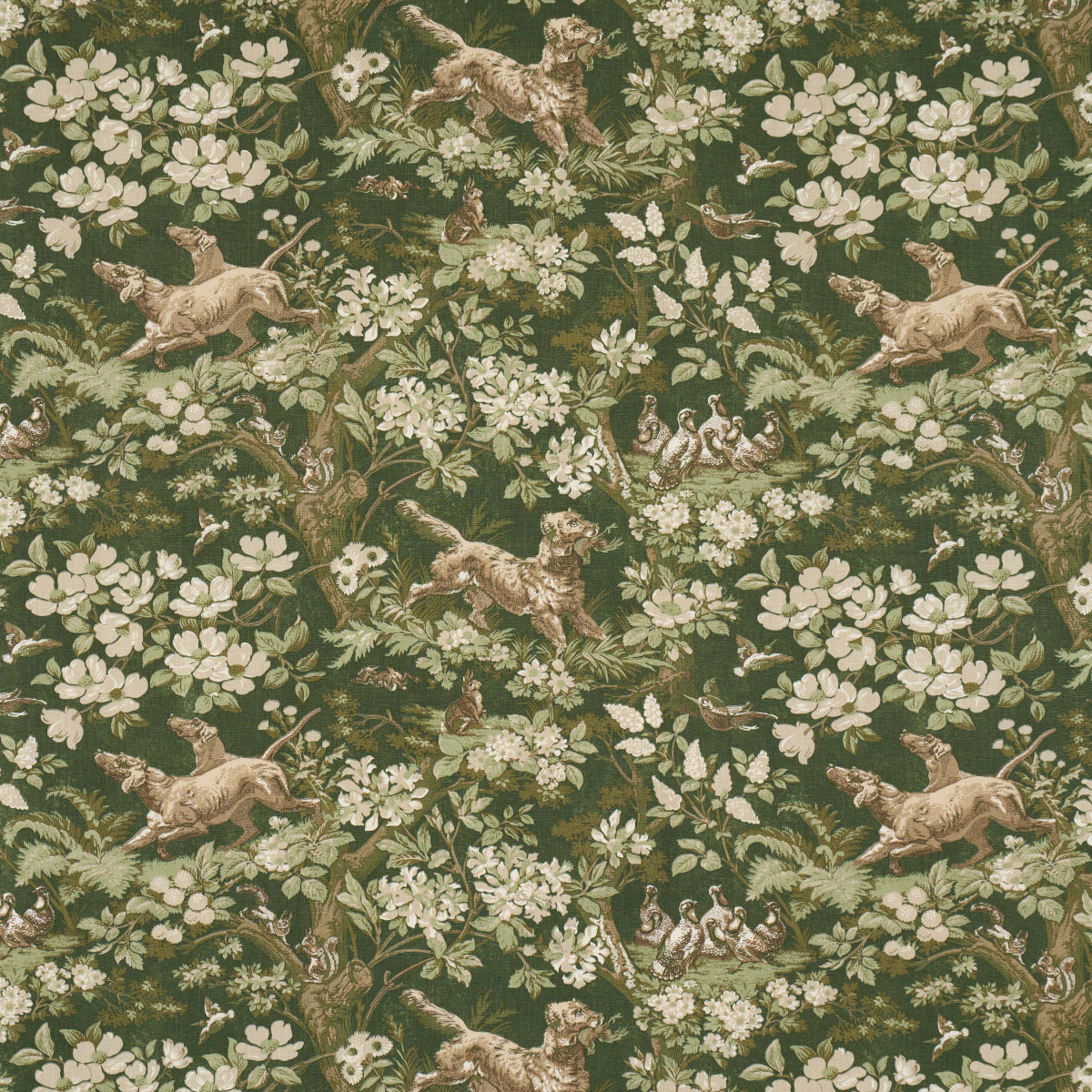 Purchase 182261 | Hound Meadow, Forest - Schumacher Fabric