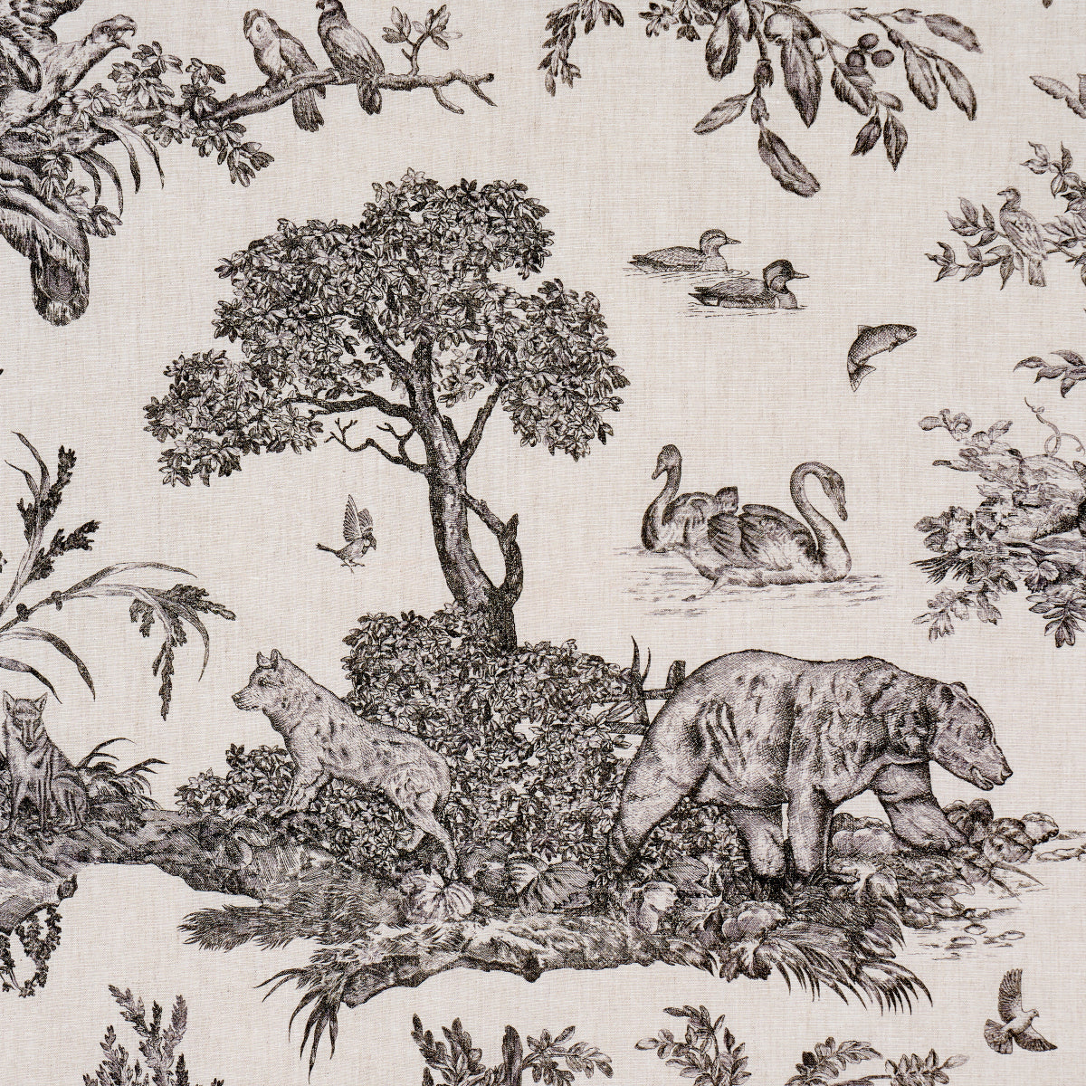 Purchase 182270 | Western Toile, Carbon - Schumacher Fabric