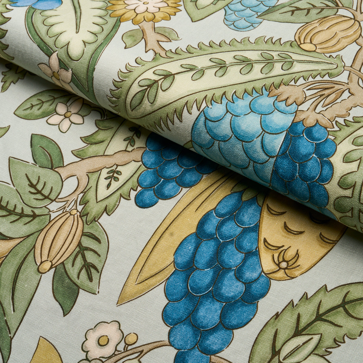 Purchase 182481 | Fruits De Saison, Kiwi - Schumacher Fabric