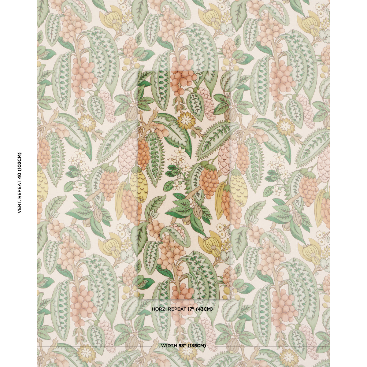 Purchase 182482 | Fruits De Saison, Apricot - Schumacher Fabric