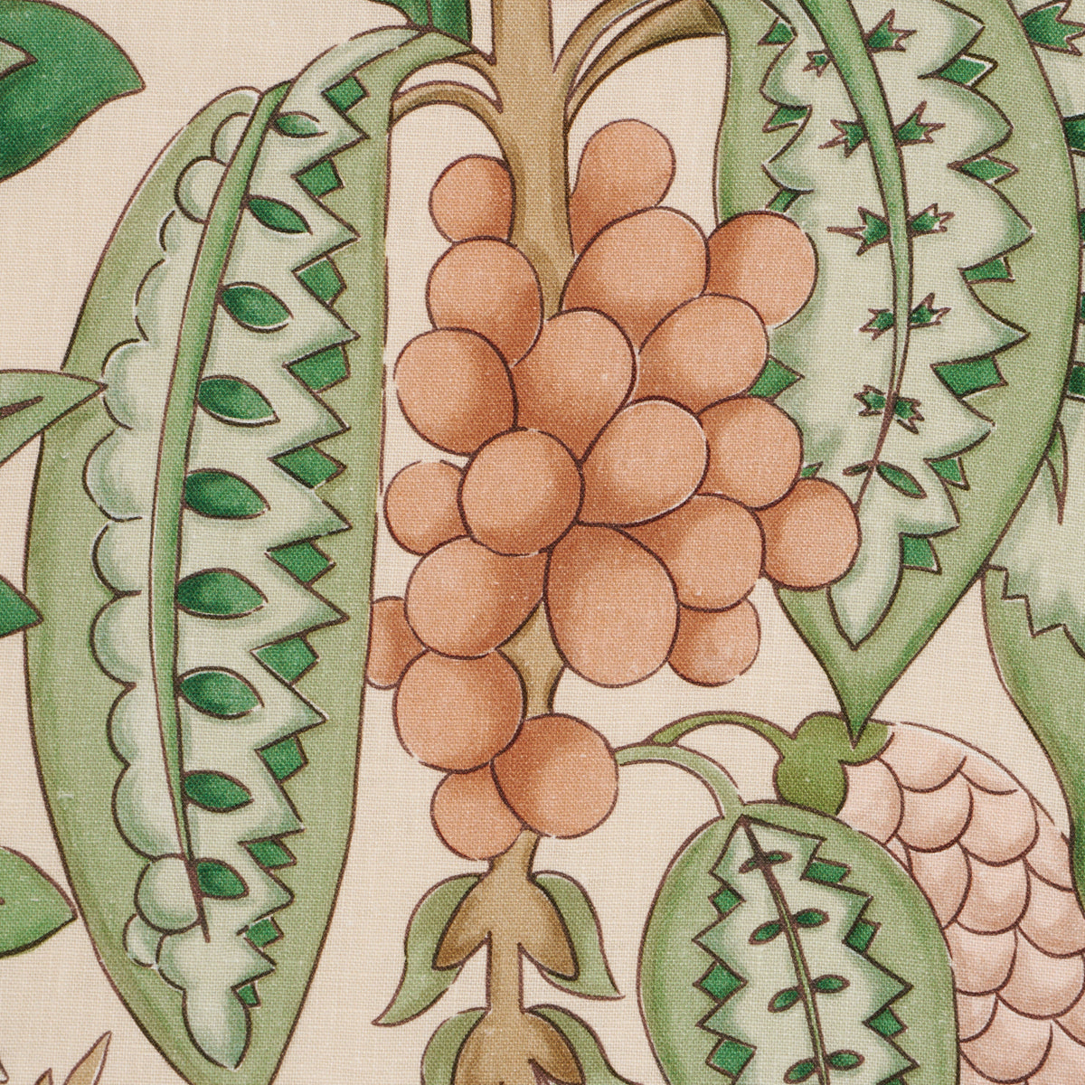 Purchase 182482 | Fruits De Saison, Apricot - Schumacher Fabric