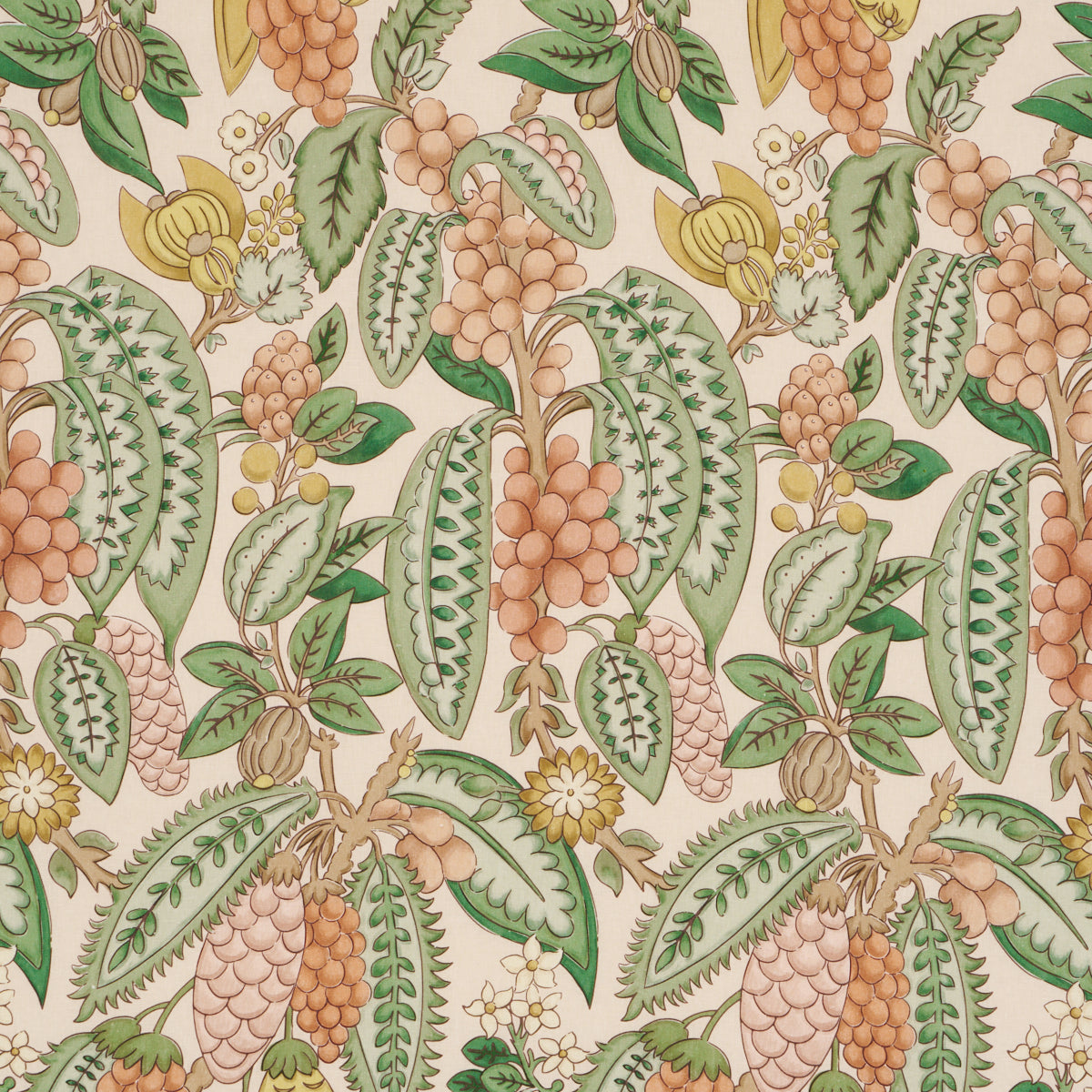 Purchase 182482 | Fruits De Saison, Apricot - Schumacher Fabric