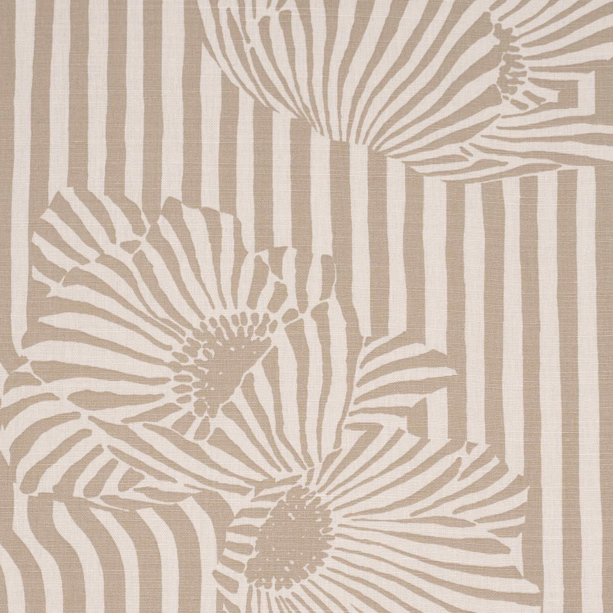 Purchase 182541 | Chaney Floral, Sand - Schumacher Fabric