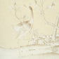 Purchase 182561 | Chinois Palais, Butter - Schumacher Fabric