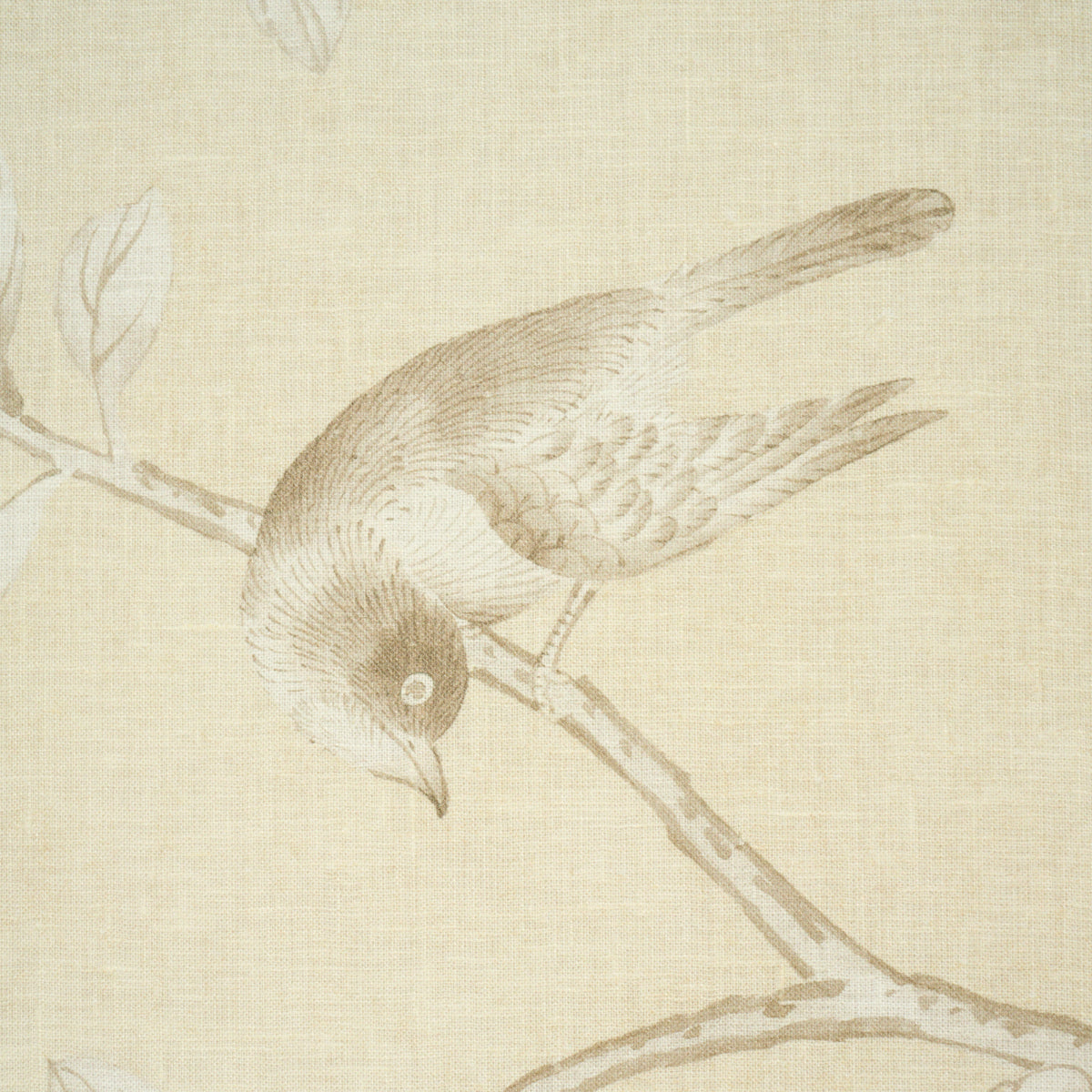 Purchase 182561 | Chinois Palais, Butter - Schumacher Fabric
