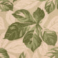 Purchase 182650 | Arboreal, Sage - Schumacher Fabric