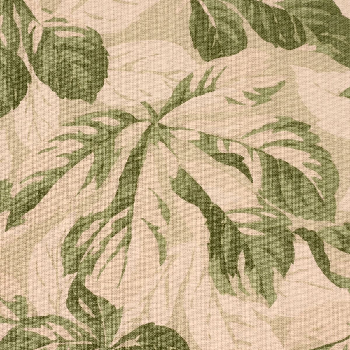 Purchase 182650 | Arboreal, Sage - Schumacher Fabric