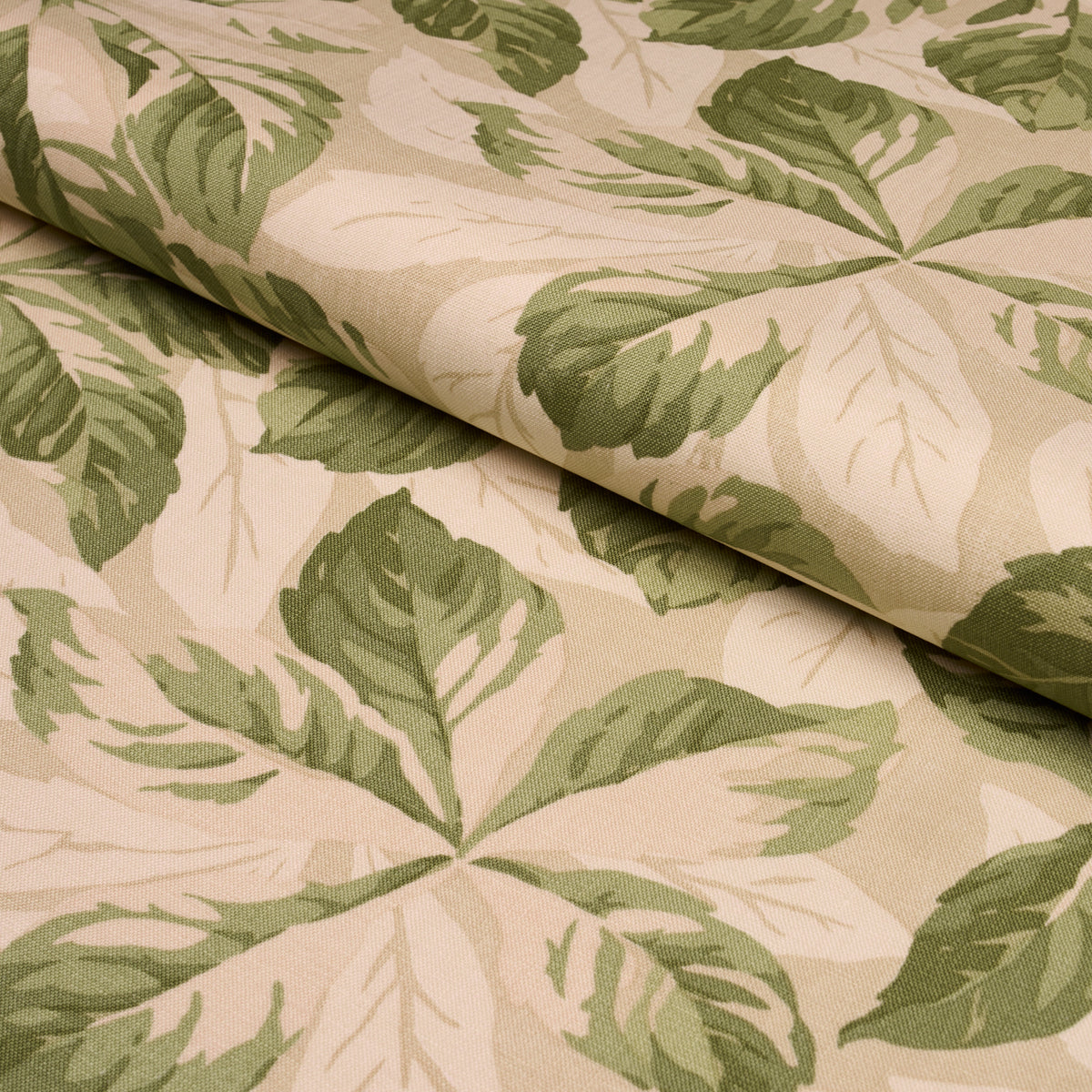 Purchase 182650 | Arboreal, Sage - Schumacher Fabric