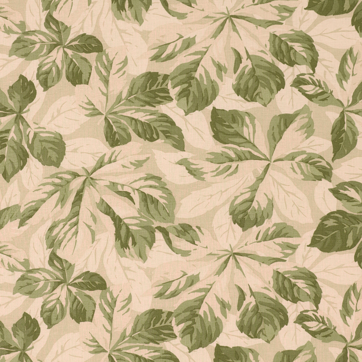 Purchase 182650 | Arboreal, Sage - Schumacher Fabric