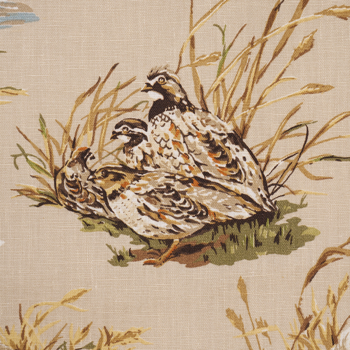 Purchase 182660 | Dog & Duck, Alabaster - Schumacher Fabric