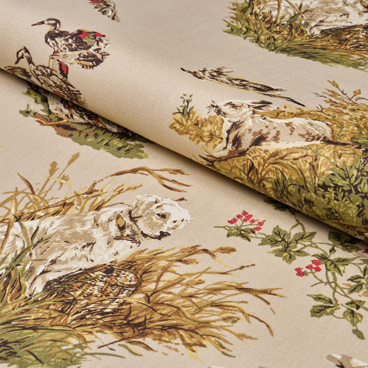 Purchase 182660 | Dog & Duck, Alabaster - Schumacher Fabric