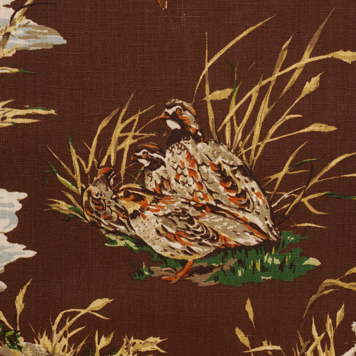 Purchase 182661 | Dog & Duck, Brown - Schumacher Fabric