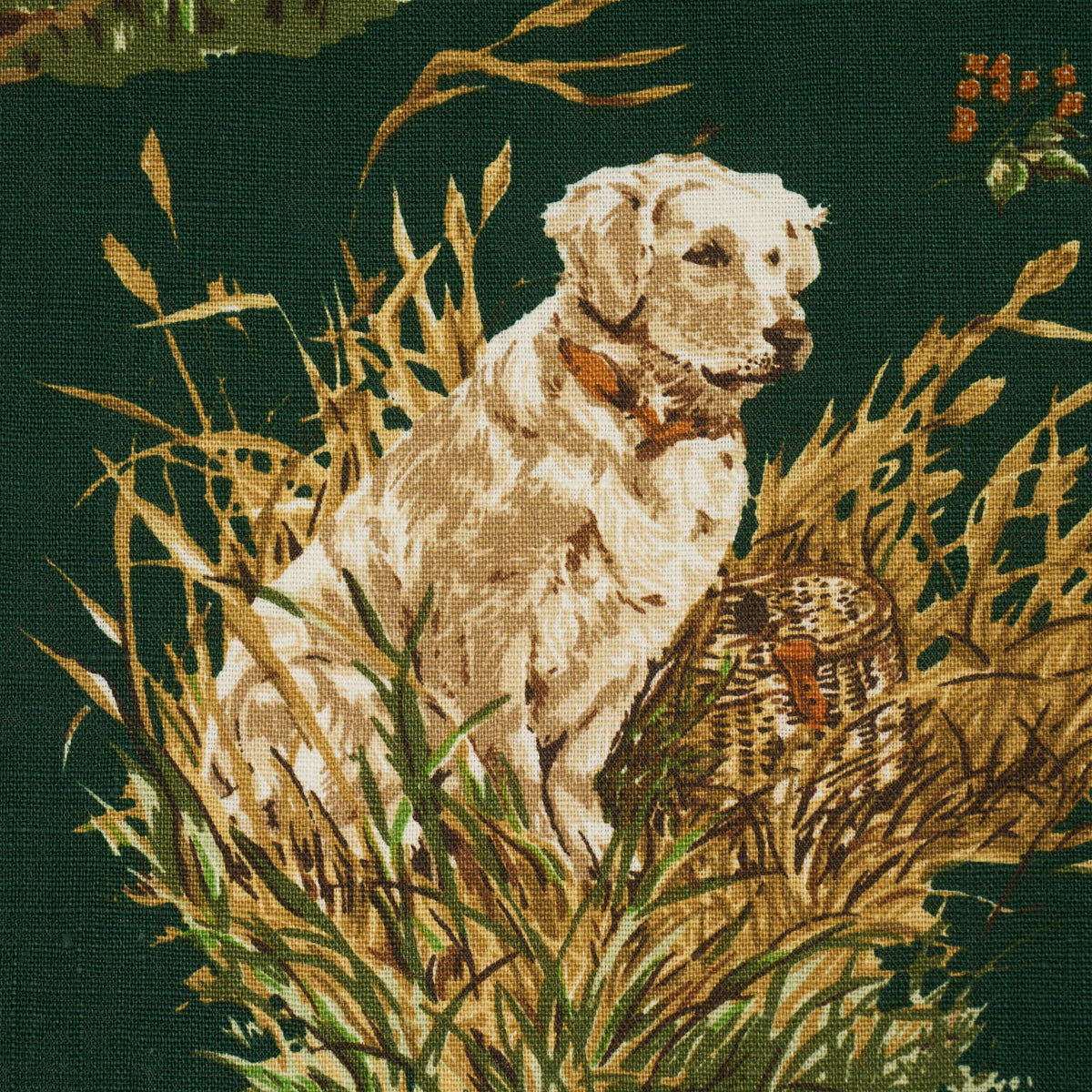 182662 | Dog & Duck, Verdant - Schumacher Fabric