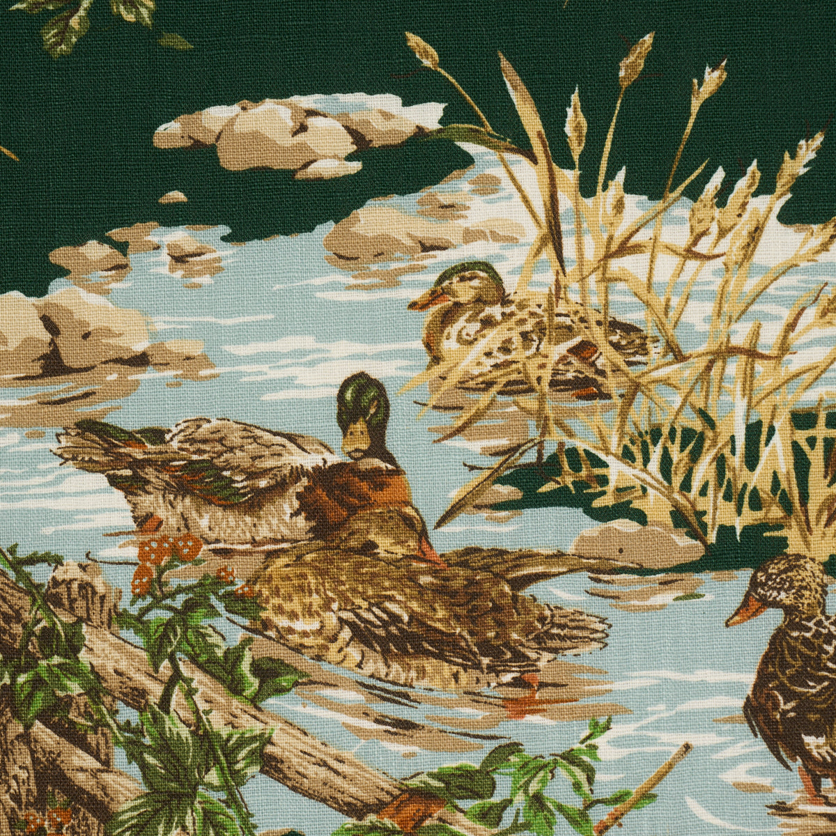 Purchase 182662 | Dog & Duck, Verdant - Schumacher Fabric