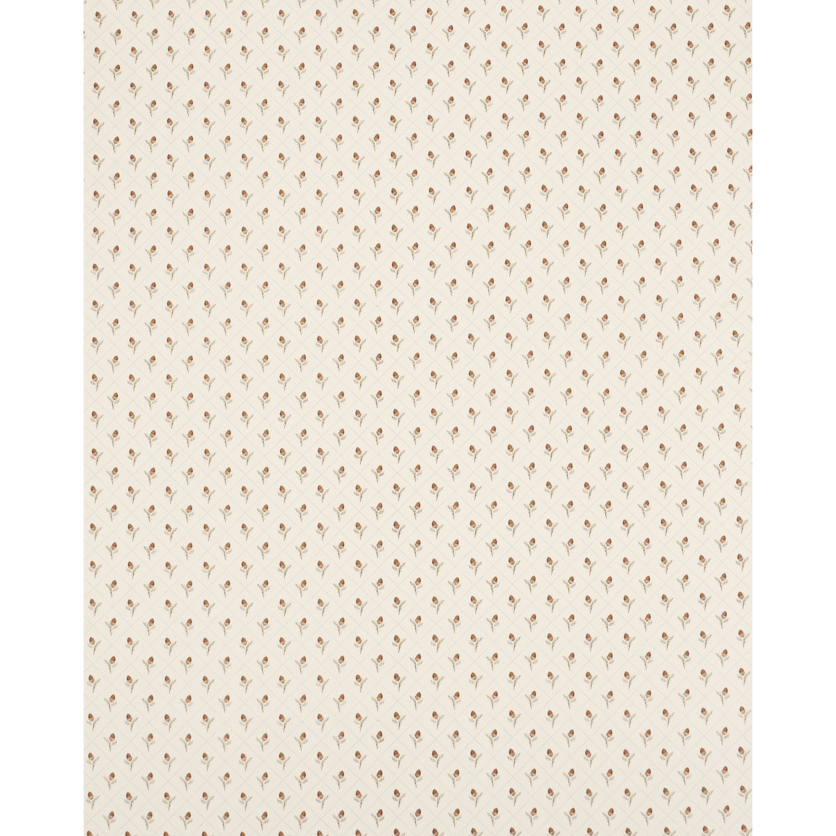 Purchase 182670 | Holden Hand Print, Cream - Schumacher Fabric