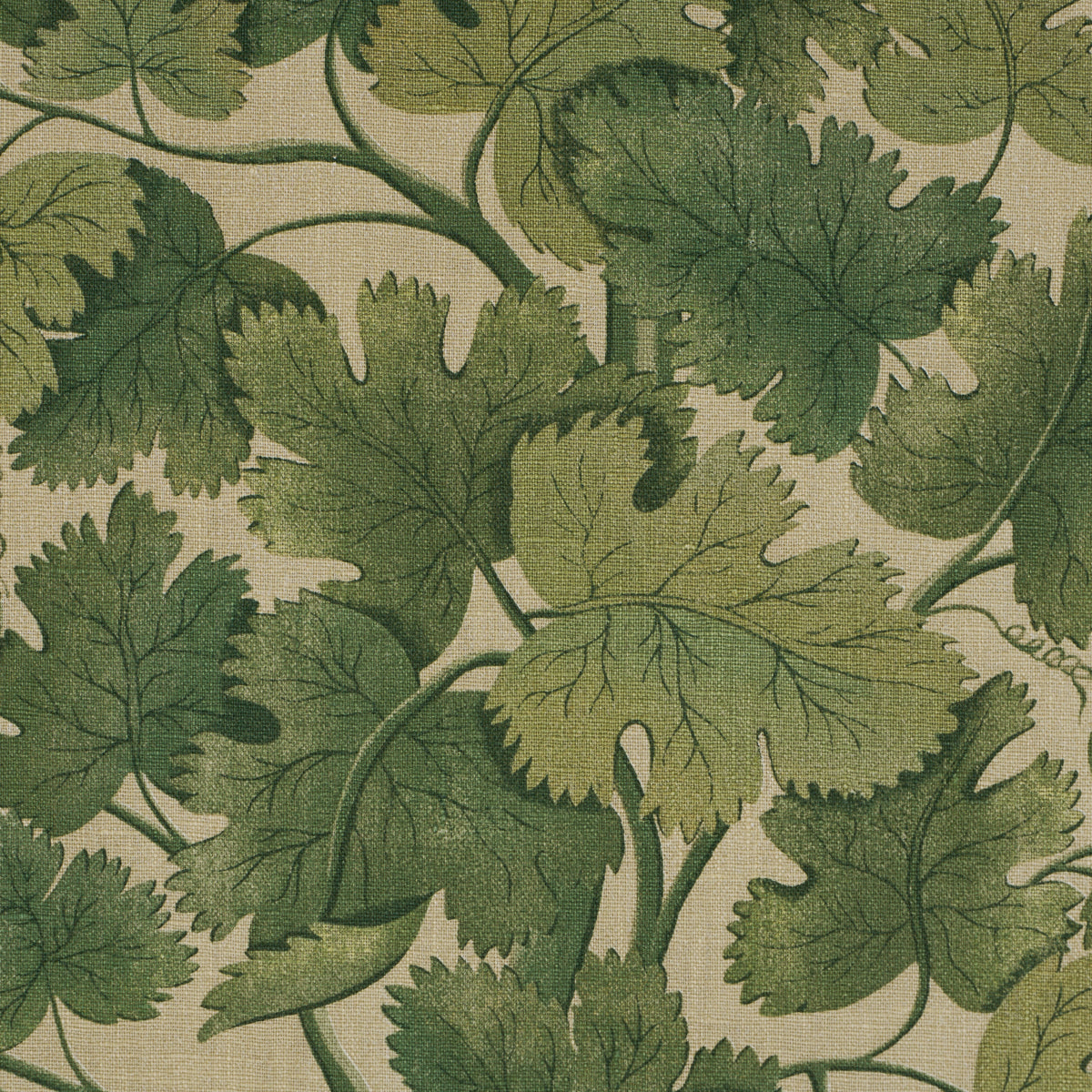 Purchase 182790 | Edinburgh Vine, Moss - Schumacher Fabric
