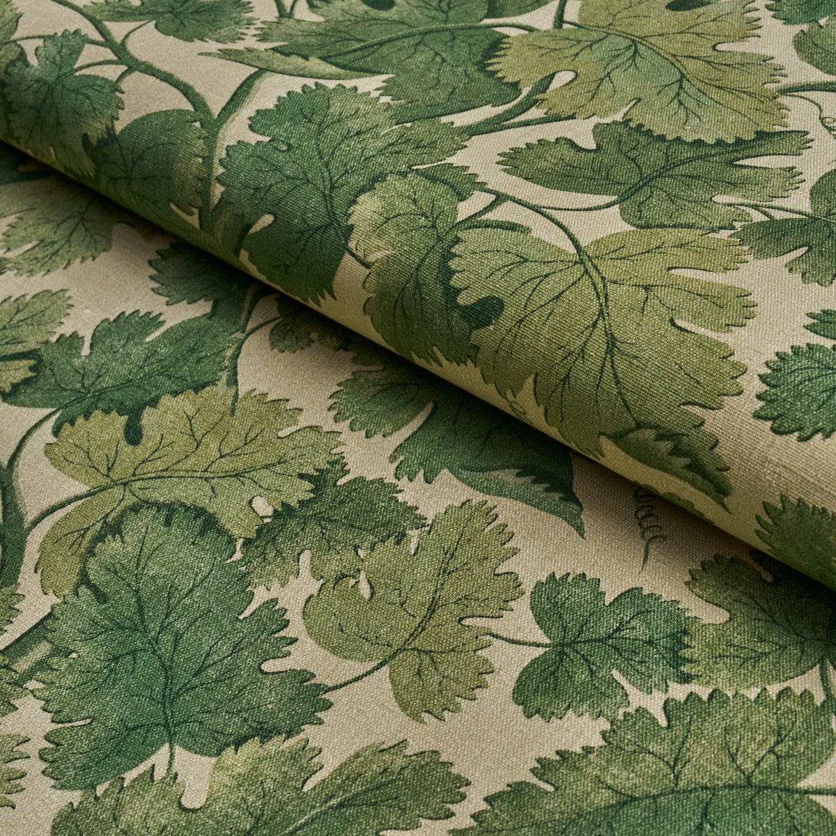 Purchase 182790 | Edinburgh Vine, Moss - Schumacher Fabric