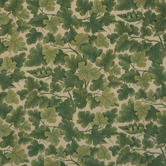 Purchase 182790 | Edinburgh Vine, Moss - Schumacher Fabric