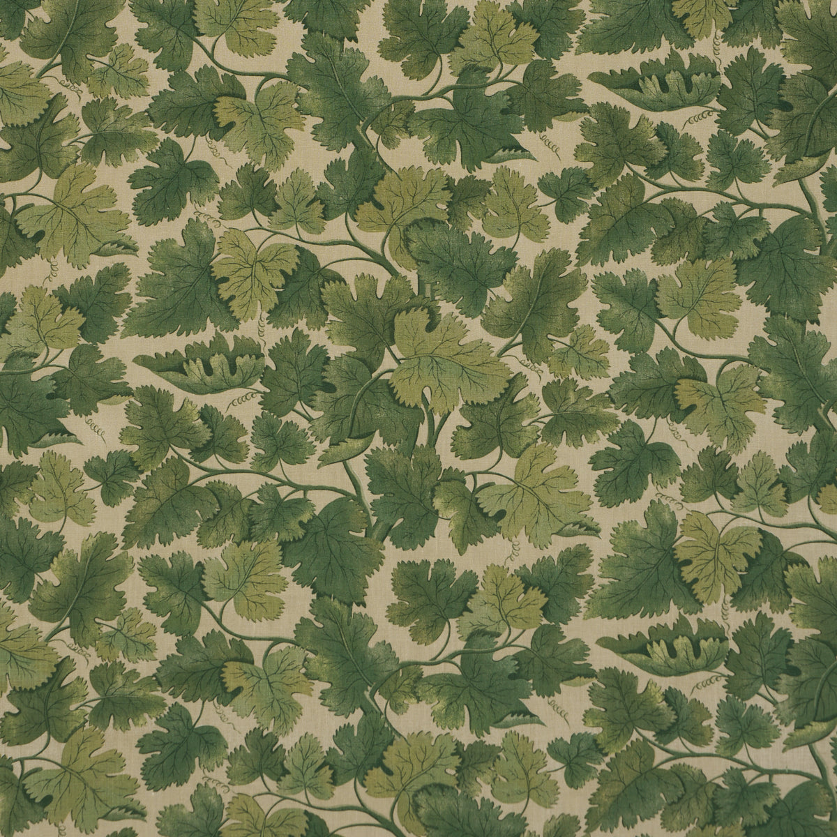 Purchase 182790 | Edinburgh Vine, Moss - Schumacher Fabric