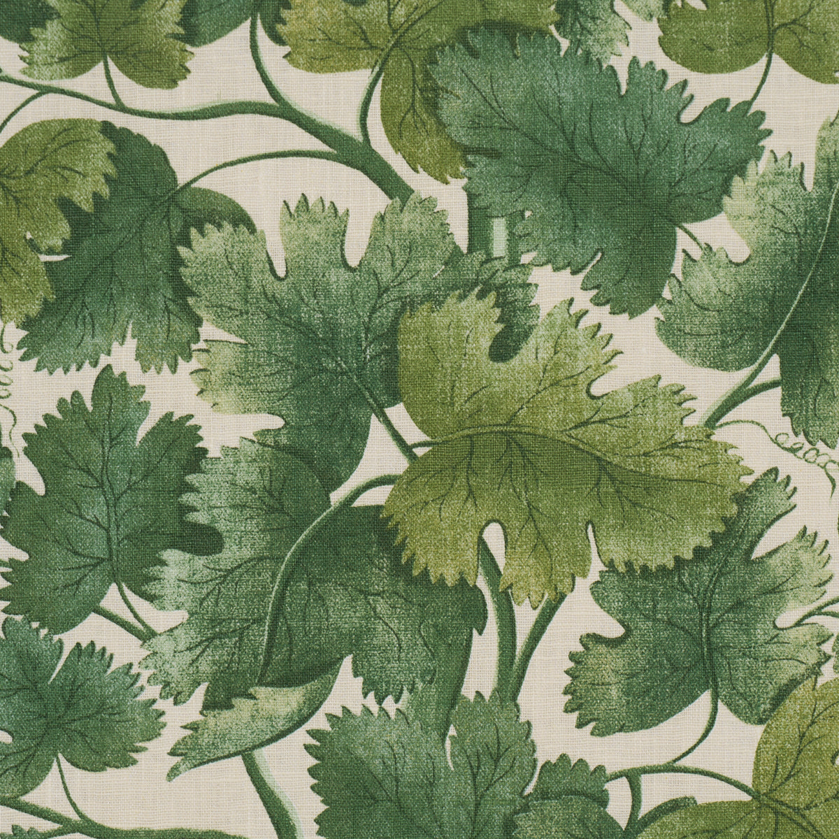 Purchase 182791 | Edinburgh Vine, Forest - Schumacher Fabric