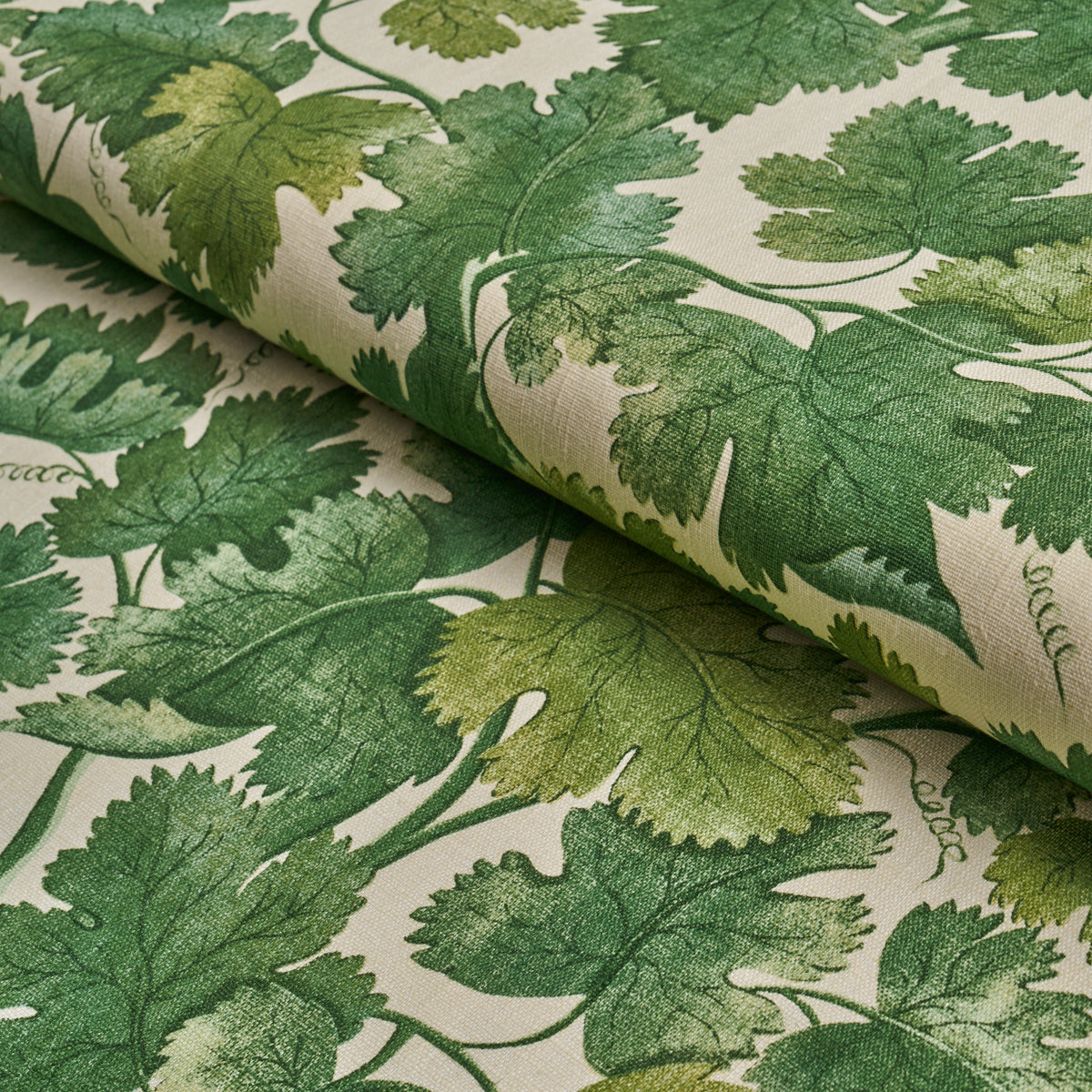 Purchase 182791 | Edinburgh Vine, Forest - Schumacher Fabric
