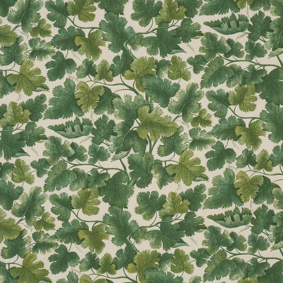 Purchase 182791 | Edinburgh Vine, Forest - Schumacher Fabric