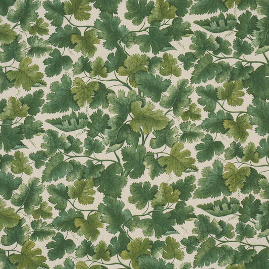 Purchase 182791 | Edinburgh Vine, Forest - Schumacher Fabric