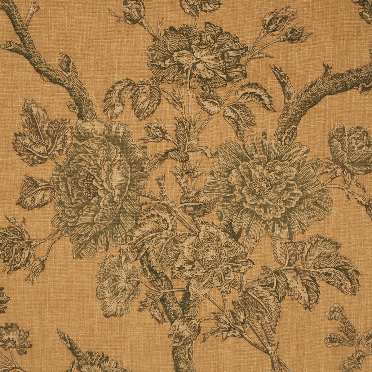 Purchase 182830 | Inverness Garden, Document - Schumacher Fabric