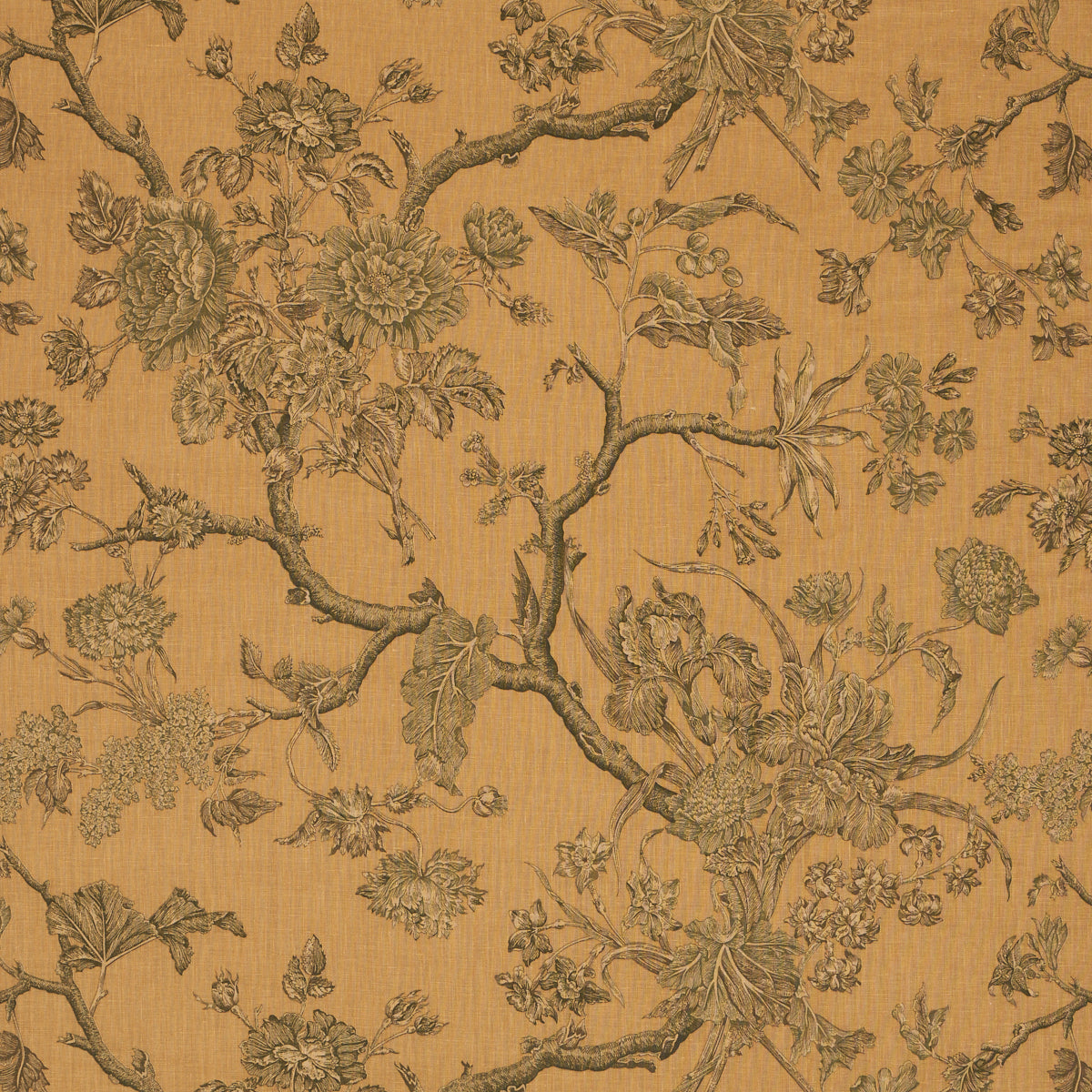 Purchase 182830 | Inverness Garden, Document - Schumacher Fabric