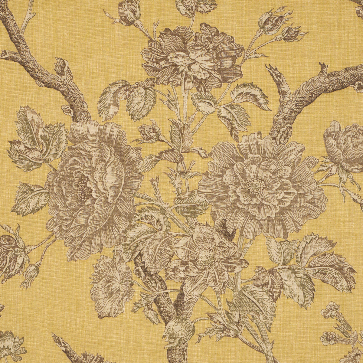 Purchase 182831 | Inverness Garden, Buttercup - Schumacher Fabric