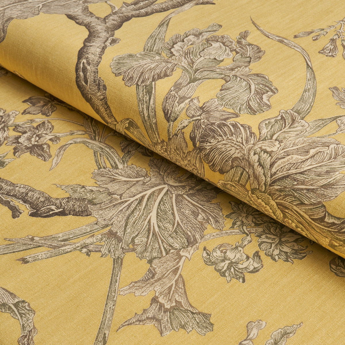 Purchase 182831 | Inverness Garden, Buttercup - Schumacher Fabric
