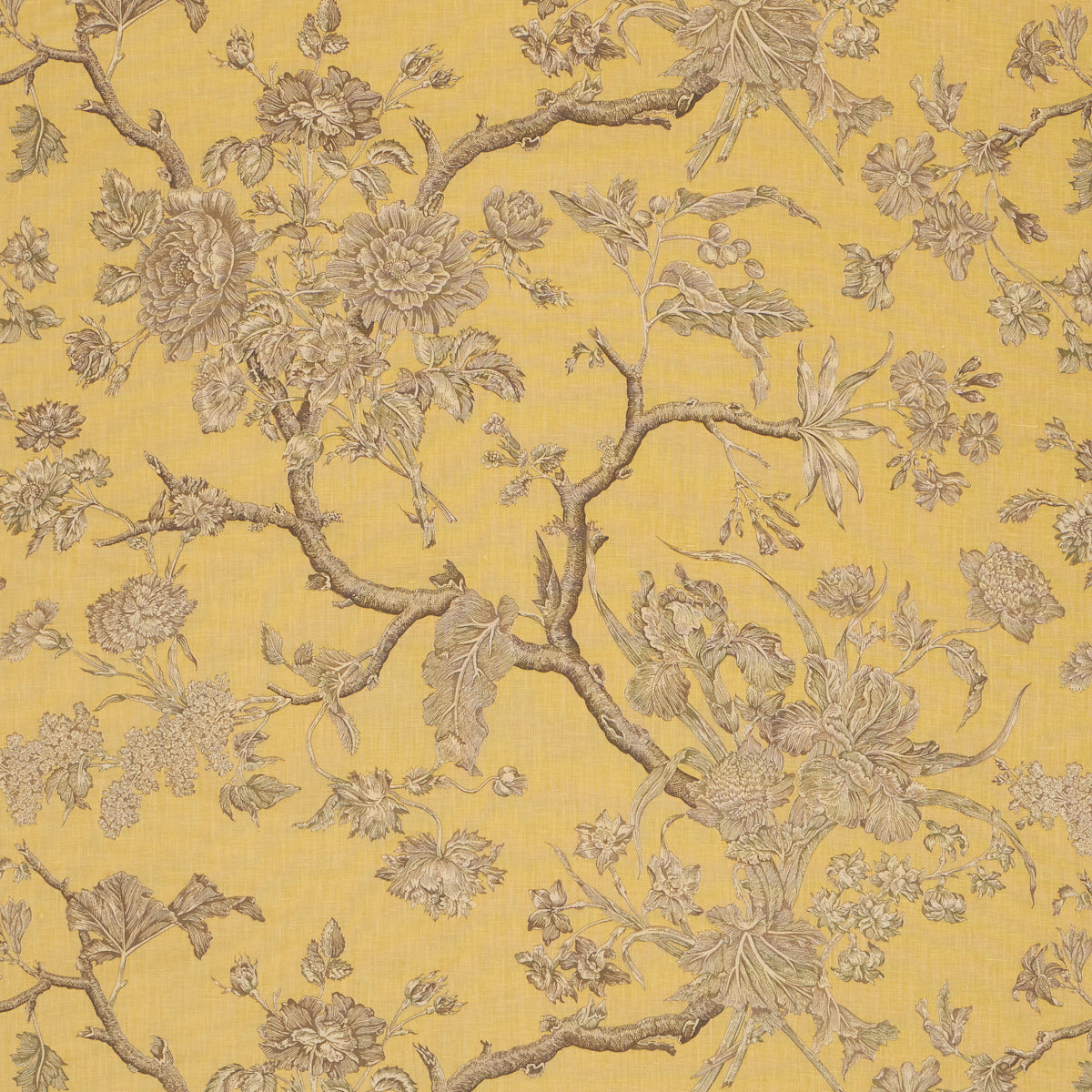 Purchase 182831 | Inverness Garden, Buttercup - Schumacher Fabric