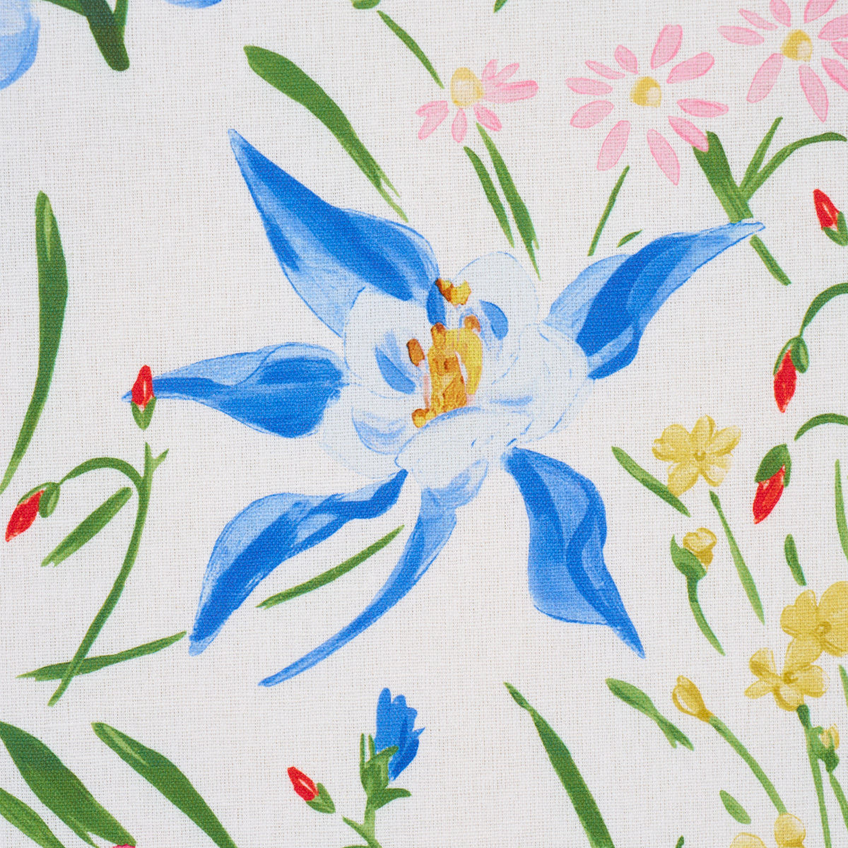 Purchase 182852 | Oz Floral, Multi - Schumacher Fabric