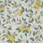 Purchase 182950 | Citrontrad, Ivory And Leaf - Schumacher Fabric