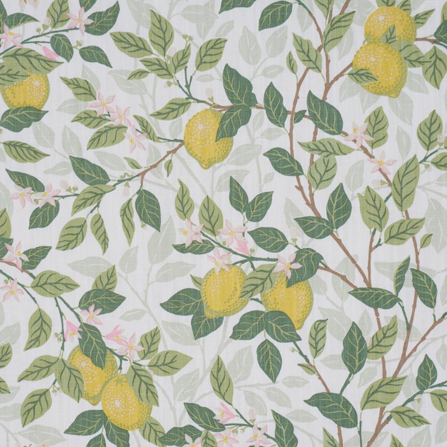 Purchase 182950 | Citrontrad, Ivory And Leaf - Schumacher Fabric