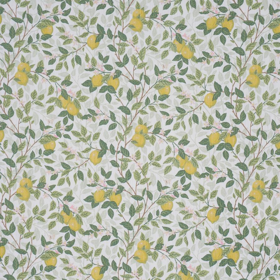Purchase 182950 | Citrontrad, Ivory And Leaf - Schumacher Fabric