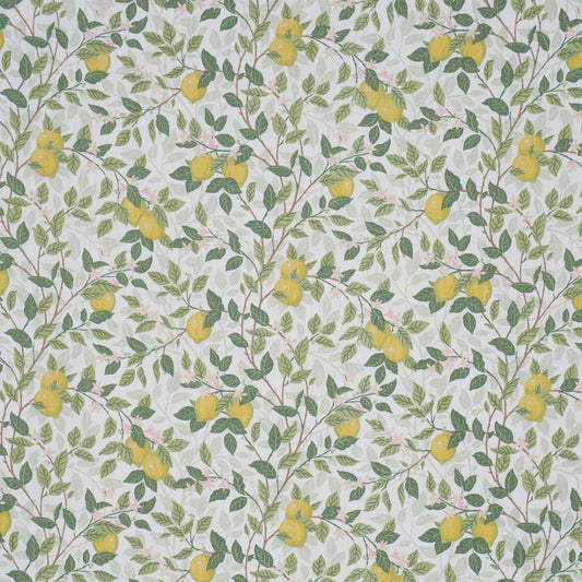 Purchase 182950 | Citrontrad, Ivory And Leaf - Schumacher Fabric