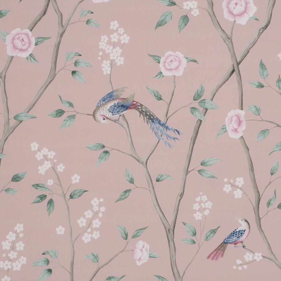 Purchase 183031 | Paradise Birds, Blush - Schumacher Fabric