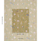Purchase 183032 | Paradise Birds, Gold - Schumacher Fabric