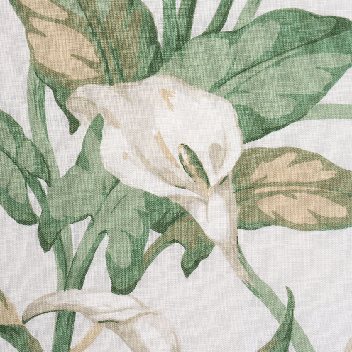 Purchase 183120 | Arum Lilies, Ivory - Schumacher Fabric