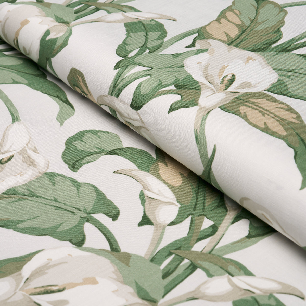 Purchase 183120 | Arum Lilies, Ivory - Schumacher Fabric