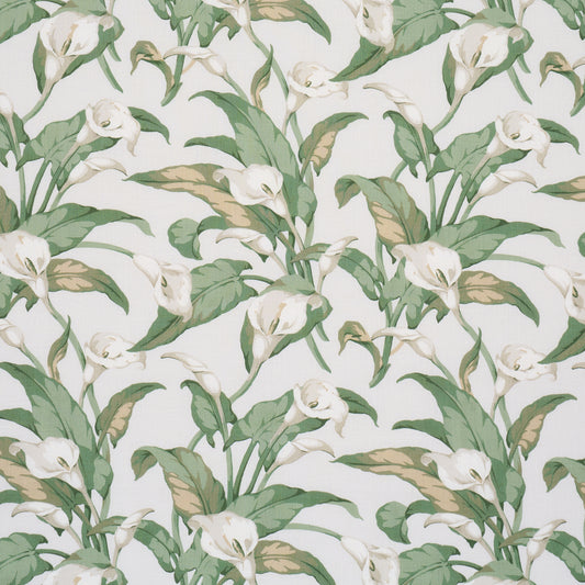Purchase 183120 | Arum Lilies, Ivory - Schumacher Fabric
