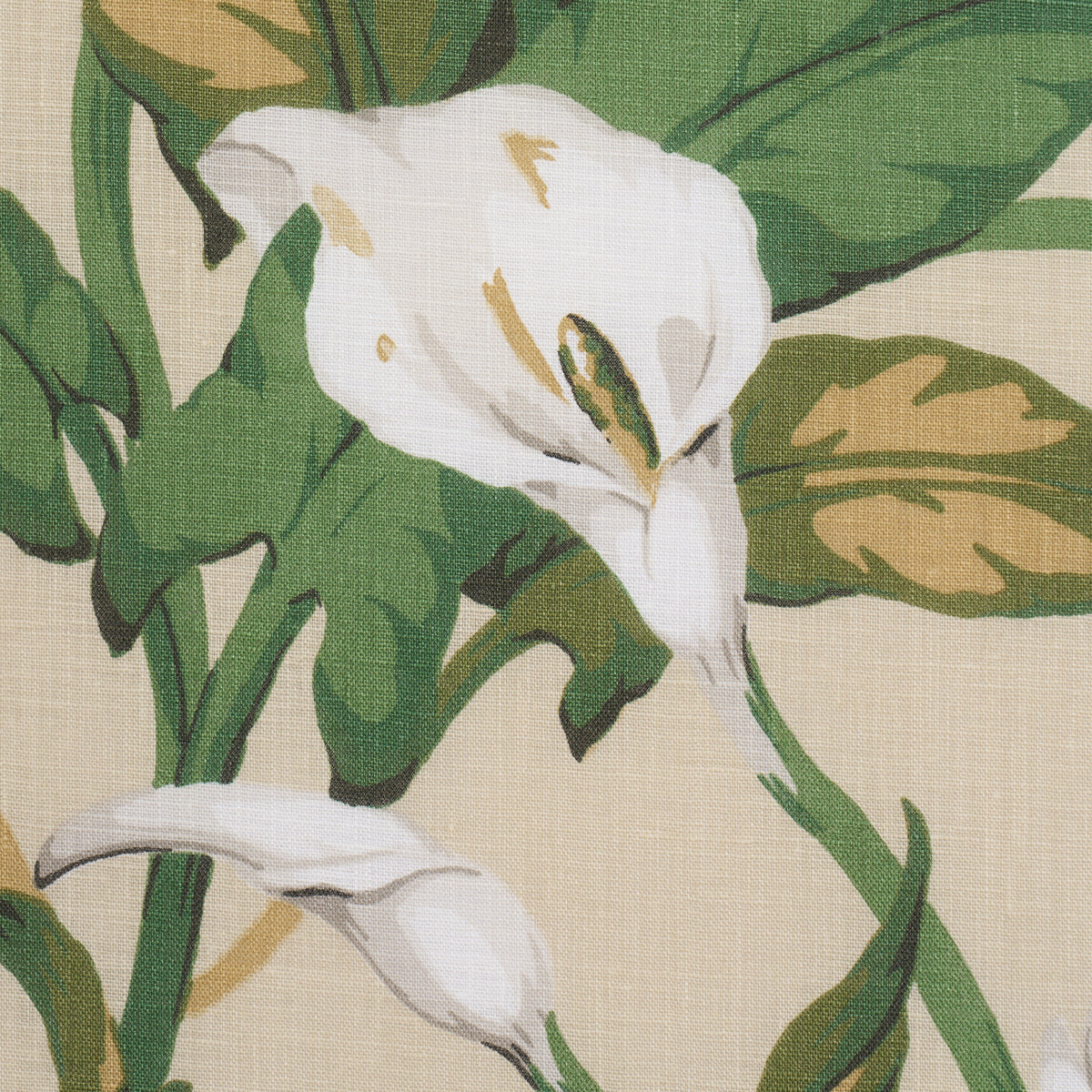 Purchase 183122 | Arum Lilies, Parchment - Schumacher Fabric