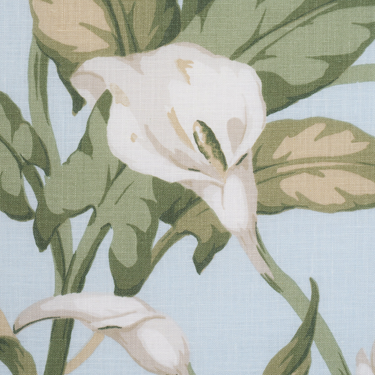 Purchase 183123 | Arum Lilies, Sky - Schumacher Fabric