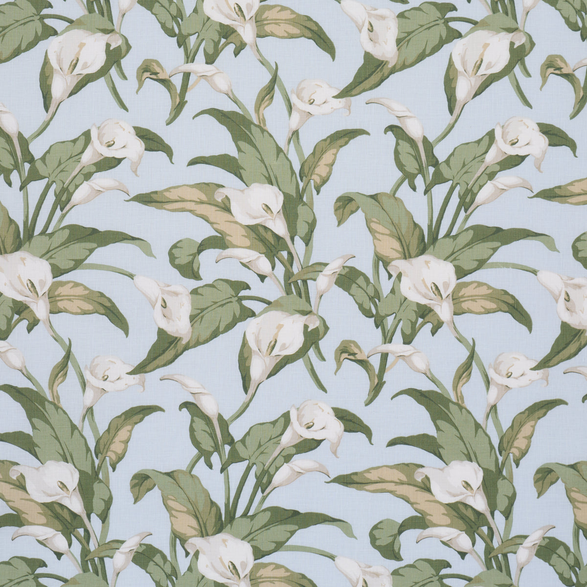 Purchase 183123 | Arum Lilies, Sky - Schumacher Fabric